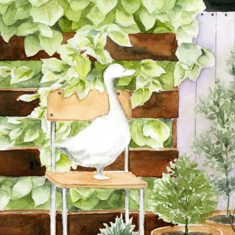 img205-edited_cr-2-1080