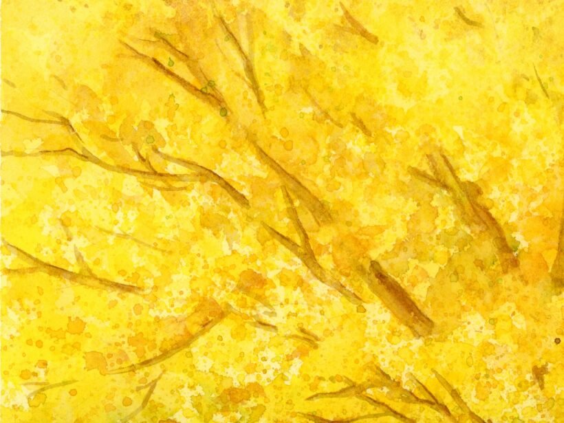 Golden Fall - closeup - 1 - Watercolour Painting - Tiny Pochi