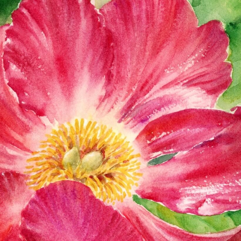 The Belle of the Ball - closeup - 1080